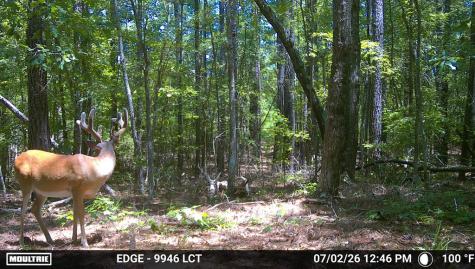 238 Cold Springs Road Modoc SC 29838