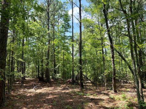 238 Cold Springs Road Modoc SC 29838