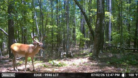 238 Cold Springs Road Modoc SC 29838
