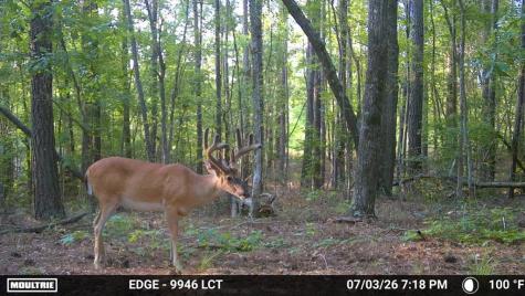 238 Cold Springs Road Modoc SC 29838