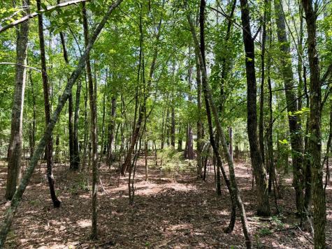 238 Cold Springs Road Modoc SC 29838