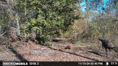 238 Cold Springs Road Modoc SC 29838