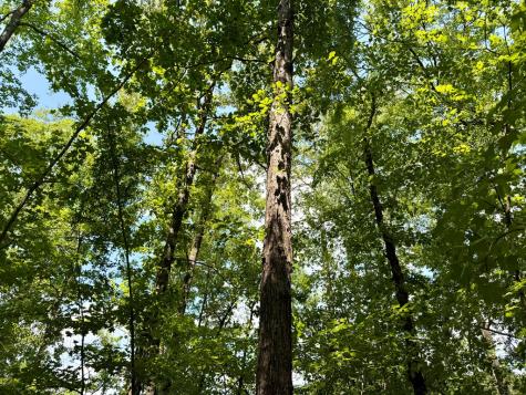 238 Cold Springs Road Modoc SC 29838