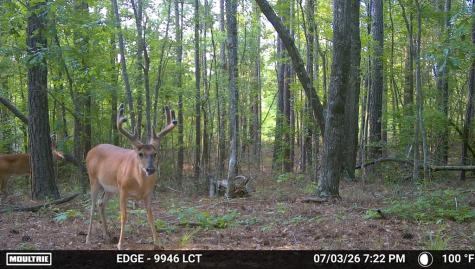 238 Cold Springs Road Modoc SC 29838