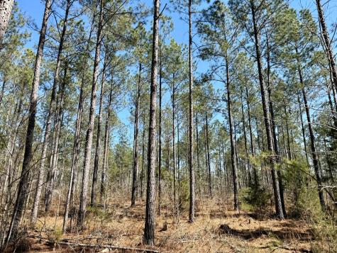 0 Highway 28 Abbeville SC 29620