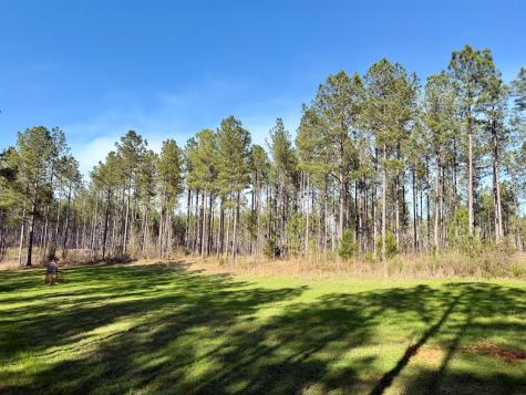 0 Highway 28 Abbeville SC 29620