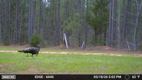 0 Highway 28 Abbeville SC 29620