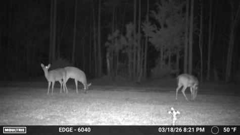 0 Highway 28 Abbeville SC 29620