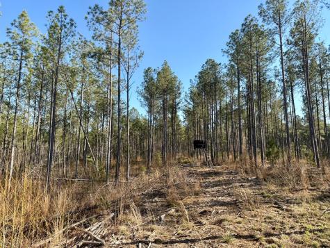 0 Highway 28 Abbeville SC 29620