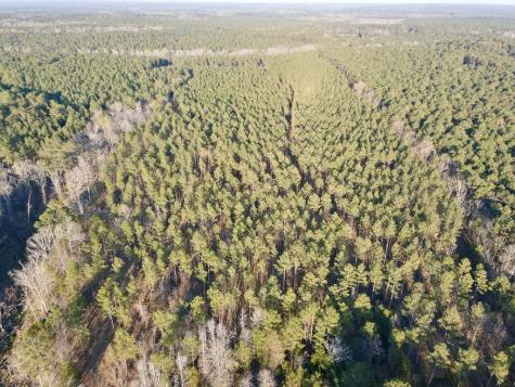0 Highway 28 Abbeville SC 29620