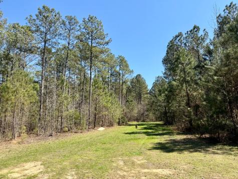 0 Highway 28 Abbeville SC 29620