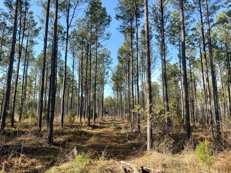 0 Highway 28 Abbeville SC 29620