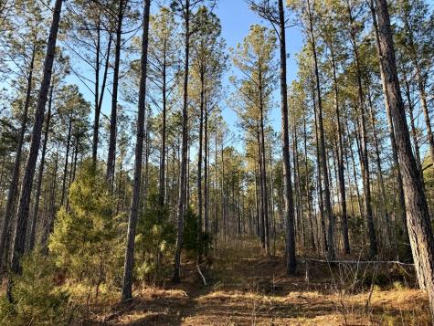 0 Highway 28 Abbeville SC 29620