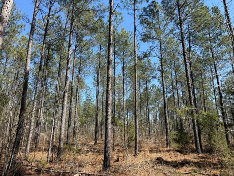 0 Highway 28 Abbeville SC 29620