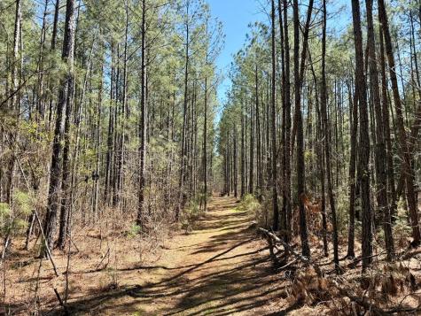 0 Highway 28 Abbeville SC 29620
