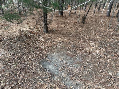 0 Highway 28 Abbeville SC 29620