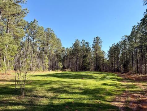0 Highway 28 Abbeville SC 29620