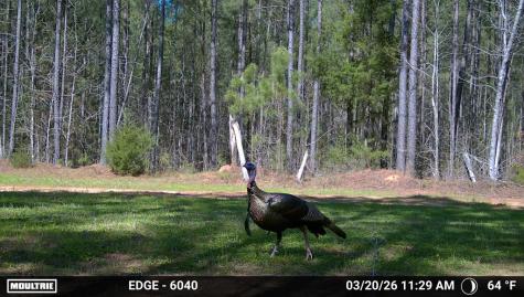 0 Highway 28 Abbeville SC 29620