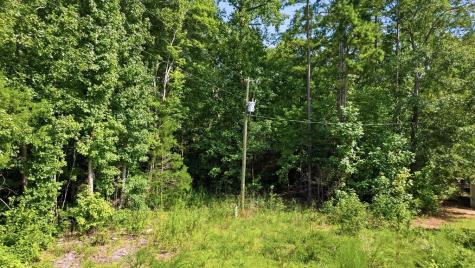 0 & 491 Ecliptic Drive Ware Shoals SC 29692
