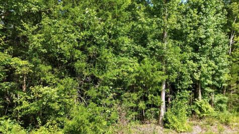 0 & 491 Ecliptic Drive Ware Shoals SC 29692