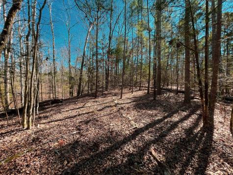 00 Tom Young Bridge Road Iva SC 29655
