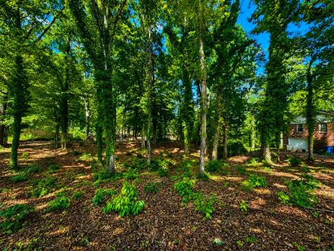 418 Dogwood Drive Greenwood SC 29649
