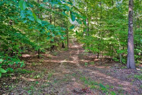790 Free Bridge Road Ware Shoals SC 29692