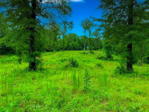 790 Free Bridge Road Ware Shoals SC 29692