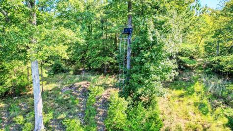 790 Free Bridge Road Ware Shoals SC 29692