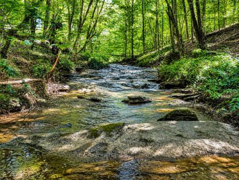 790 Free Bridge Road Ware Shoals SC 29692
