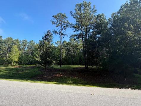 407 Eagles Harbor Drive Hodges SC 29653