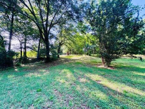 175 Louise Street Lowndesville SC 29659