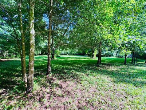 175 Louise Street Lowndesville SC 29659