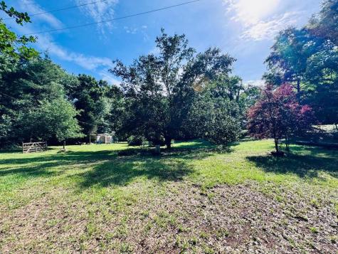 175 Louise Street Lowndesville SC 29659