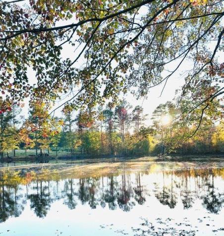6711 Mccormick Highway Troy SC 29848