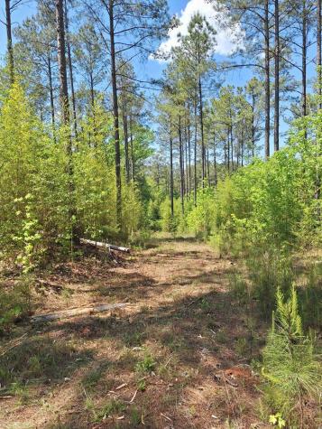 0 Main Street W Extension Ware Shoals SC 26949