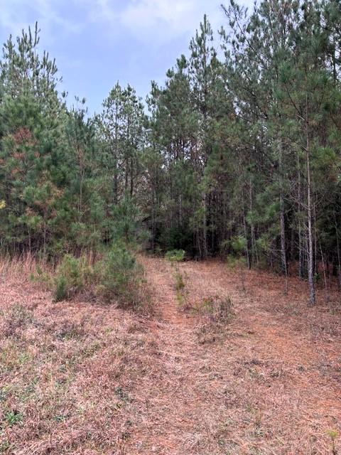 458 Highway 378 E Edgefield SC 29824