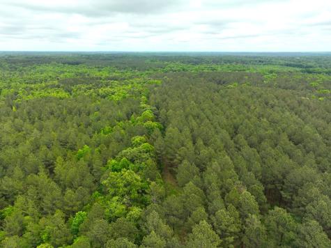 3170 Highway 20 Abbeville SC 29638