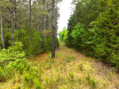 3170 Highway 20 Abbeville SC 29638