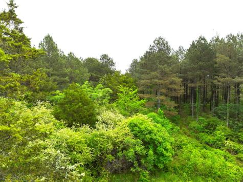 3170 Highway 20 Abbeville SC 29638