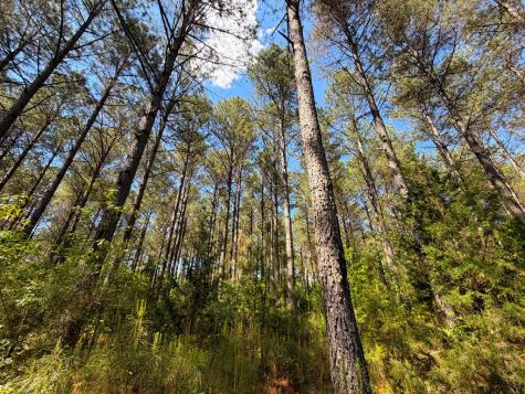 3170 Highway 20 Abbeville SC 29638