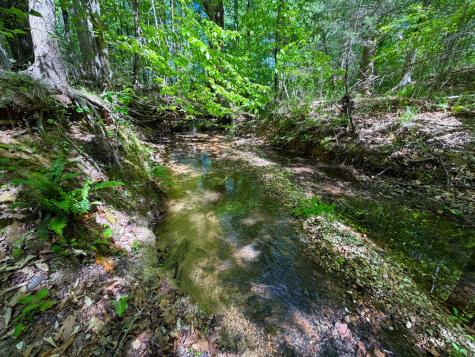 3170 Highway 20 Abbeville SC 29638