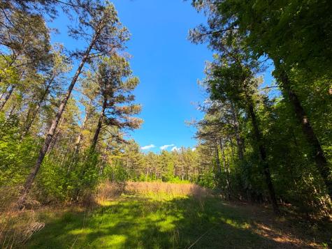 3170 Highway 20 Abbeville SC 29638