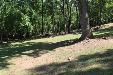 7375 Riverfork Road Waterloo SC 29384