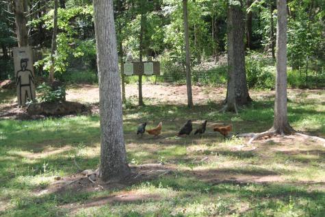 7375 Riverfork Road Waterloo SC 29384