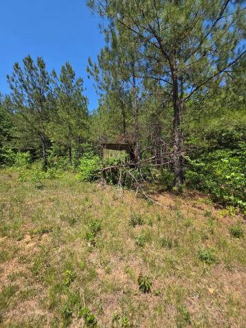 1020 Barnett Cross Hill SC 29332