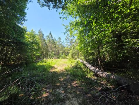 1020 Barnett Cross Hill SC 29332