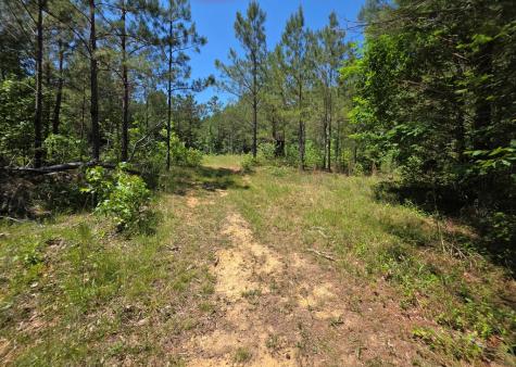 1020 Barnett Cross Hill SC 29332