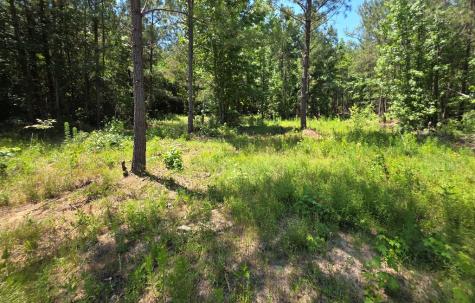 1020 Barnett Cross Hill SC 29332