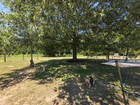 1020 Barnett Cross Hill SC 29332